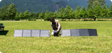 EcoFlow DELTA 2 + 110W Portable Solar Panel