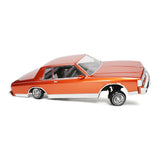Redcat Caprice Classic RC Car - 1:10 1987 Chevrolet Caprice Classic Hopping Lowrider