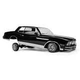 1/10 Scale 1979 Chevrolet Monte Carlo Lowrider