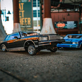 1/10 Scale 1979 Chevrolet Monte Carlo Lowrider