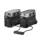 DELTA Pro*2 + 1*Double Voltage Hub