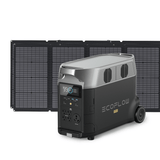 DELTA Pro + 1*220W Portable Solar Panel