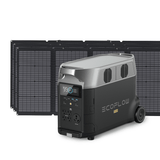 DELTA Pro + 1*220W Portable Solar Panel