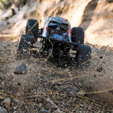 1/8 Scale Brushless Monster Truck - Includes: 2.4Ghz Radio, Ready to Run, Battery and Charger Not Included.